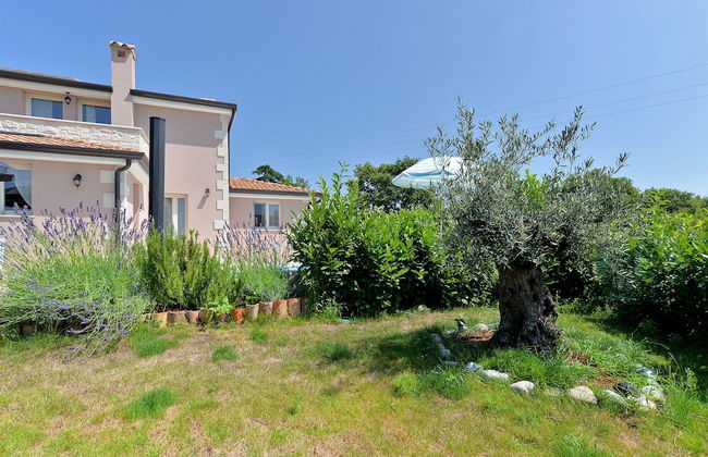 House 1924 - Foto 63