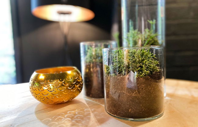 Holiday Home Rheezerveen With Sauna & Hot Tub - Foto 17