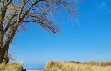 Haus Belvedere in Sehlendorf - Foto 19