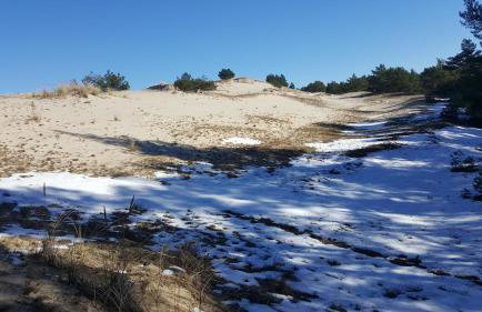 Słowińskie Widoki domek Natura, noclegi Smołdziński Las - Foto 33