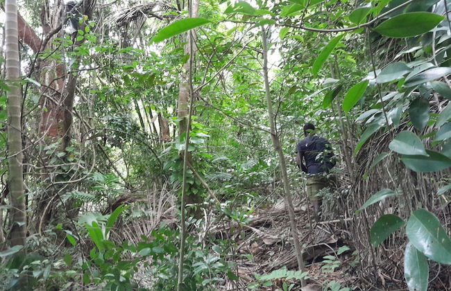 Blue Turquoise Sea Villa - Photo 26