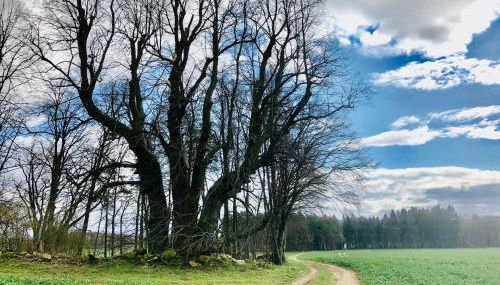 NEU! Ferienidyll Nähe Plauer See - Foto 2