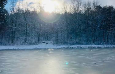 Stallgeflüster Lodge - Foto 19