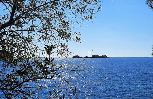 Blue Promenade Apartments - Foto 59