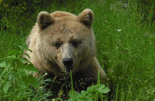 La Casa Sul Lago - Foto 64