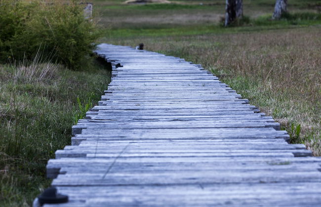 Worrowing Jervis Bay - Photo 64