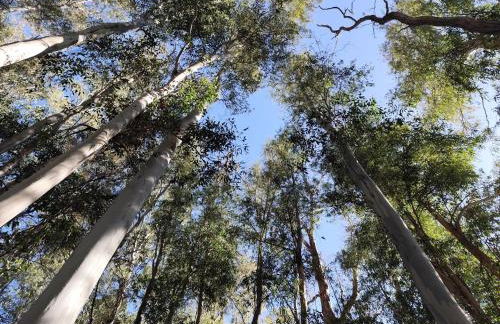 Andalusian Pool Parties Music & Magic - Photo 14