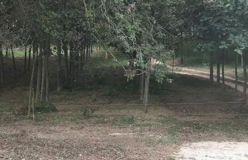 Casa do Carvalhal - Quinta do Soldado - Foto 40