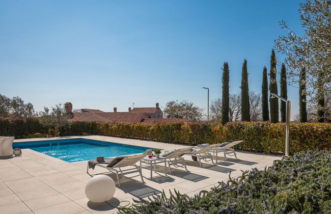 Old Olive I - Foto 44