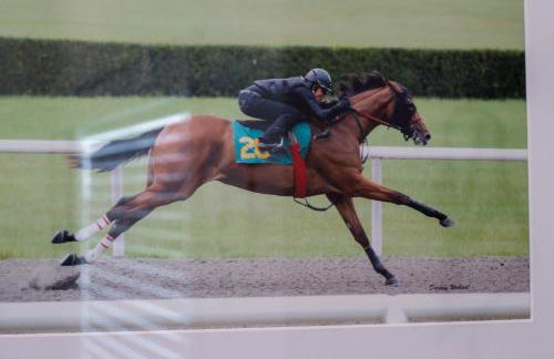 Modern & upscale home near Derby - Foto 6