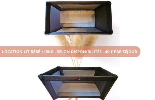 T3 Universités & Hospitals - Havre de paix près Toulouse - parking - terrasse - Photo 29