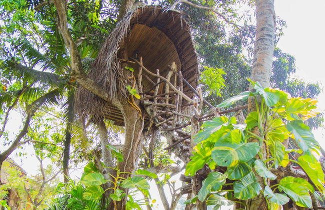 Villa Shade - Photo 74