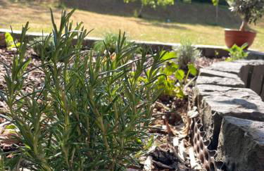 Maison Kaiser - Foto 52