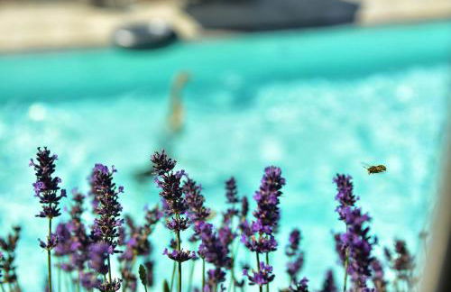 Residence Boutique Sonne - Foto 37