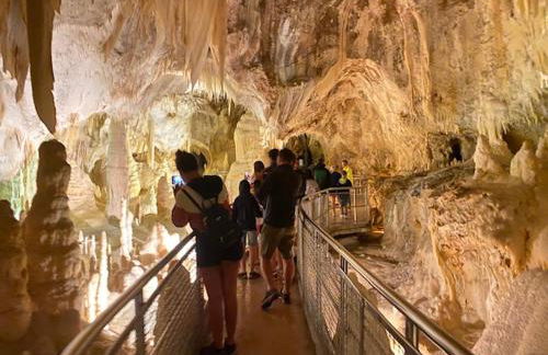 appartamento Colticciola Agriturismo Marche - Foto 63