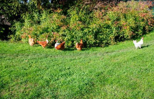 Ca' dei Berici - Relax tra Colli e città d'arte - Foto 20