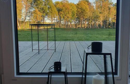 Bujanie w sitowiu - Foto 28