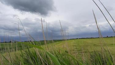 NEU! Ferienwohnung Zur Pusteblume - Foto 4