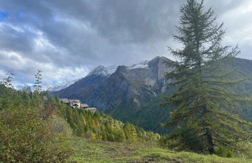 Ninette, intimità e natura - Foto 7