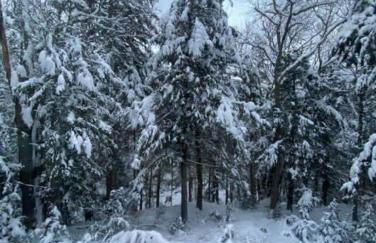 Unique and Private 25ft Waterfall House in Hunter - Foto 60