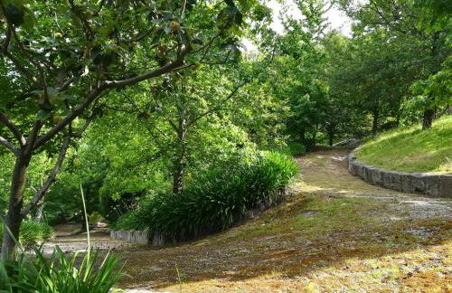 Quinta de S. Vicente 317 - Foto 56