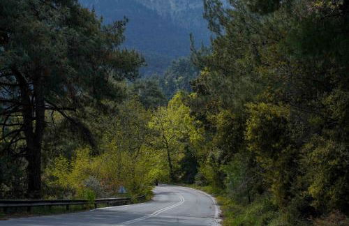 InGreen apartment - Foto 47