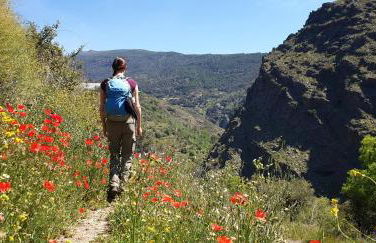 Vista Mezquita - Foto 28