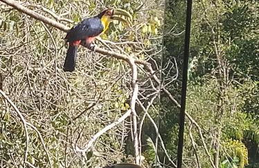 Casa Jaguary com jacuzzi - Monte Verde - Foto 9