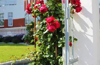 Rosen Villa - Photo 23