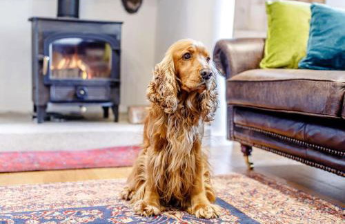 5 Bed in Truro oc-tc82928 - Foto 17