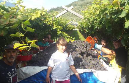 Residence La Colombera - Foto 43