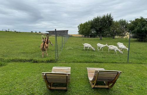 Bauernhof Glamping mit Alpakas und Ziegen - Foto 24