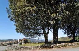 Domus Milli - Foto 39