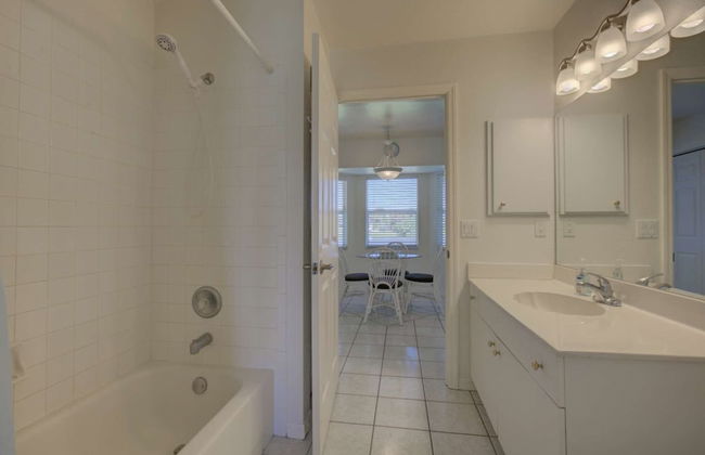 Smiling Dolphin - Foto 14