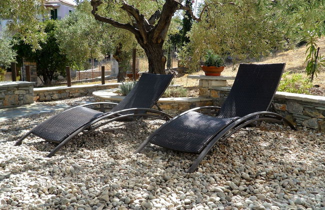 Flower Houses - Foto 13