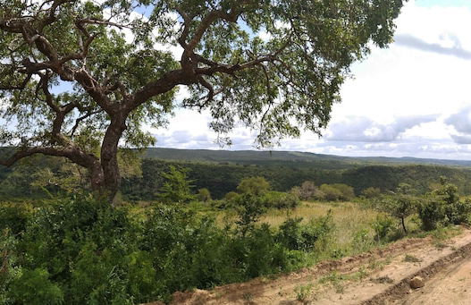 Galu Tulivu - Foto 44