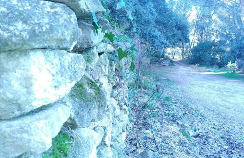 Sous un chêne bicentenaire - Foto 19