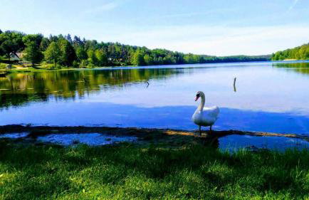 Górskie kaszuby ,Gołubie ,Domek w sielskim klimacie ,niedaleko stoku Koszałkowo na Kaszubach-do 10 osob,sauna ,balia,kominek,opcja kuligu - Foto 38