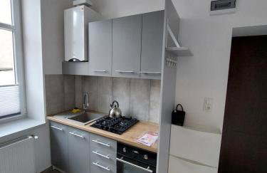 Apartament Kamienna Gora - Foto 8