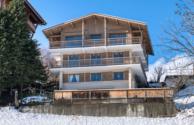 Chalet Nessa - Combloux - Foto 1