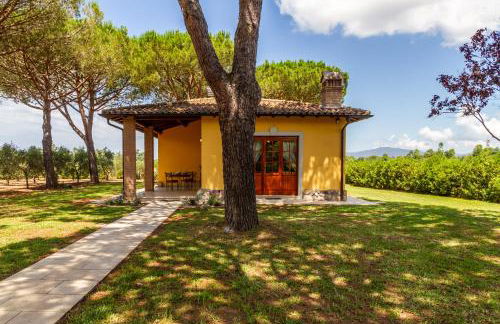 Tenuta Fiumara - Foto 40