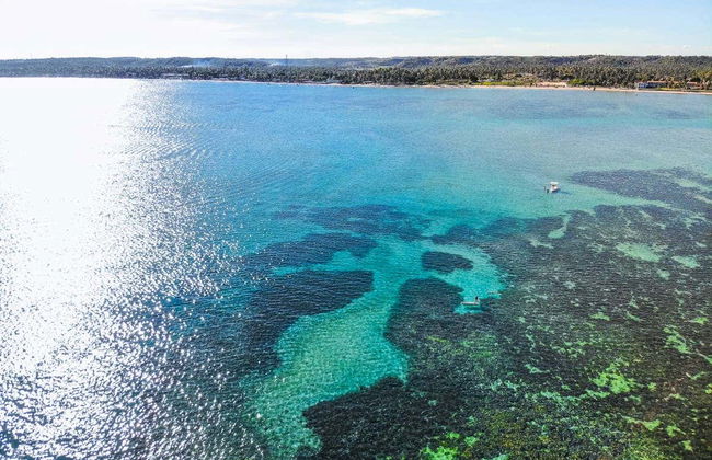 Excursión privada a Maragogi - Foto 7