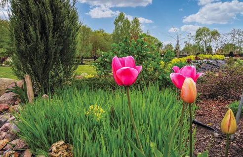 2 Bedroom Beautiful Home In Nowe Warpno - Foto 13