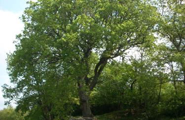 Agriturismo Le Roghete - Foto 29