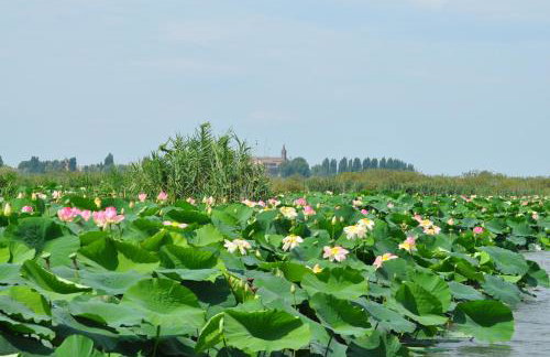 Halloggio98 - Foto 37