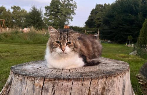 AgroStudio - Foto 21