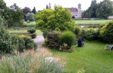 Fewo Flowerpower - Foto 15