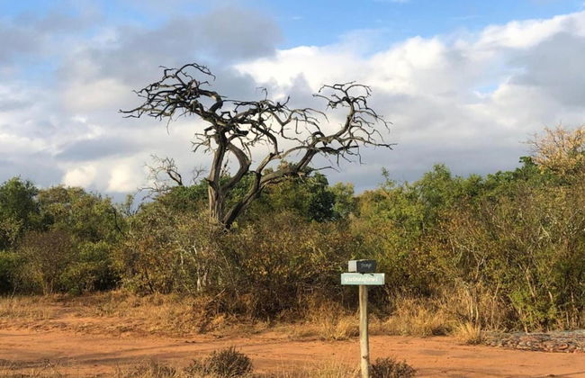 Holiday Home in Hoedspruit With Private Pool - Photo 29
