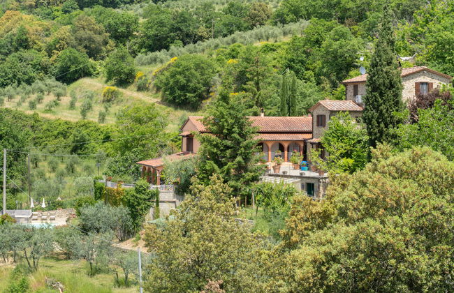 La Felcaia - Foto 43