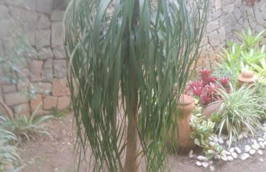 Cantinho da Vovó Regina - Foto 37